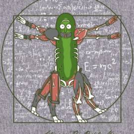 Vitruvian Pickle Rick