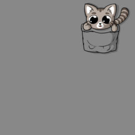 Cute Gray Pocket Cat