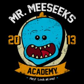 Mr Meeseeks Academy