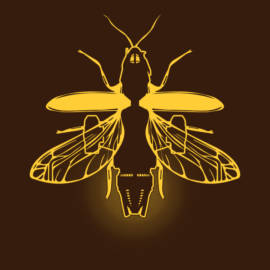 Firebug
