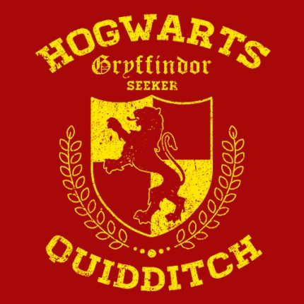 Gryffindor Quidditch