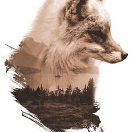 Forest Fox