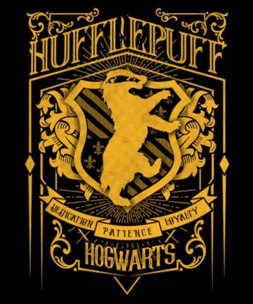 Wizardry Badger House