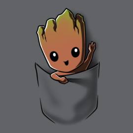 Groot Pocket