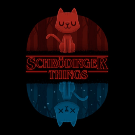 Schrodinger Things