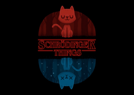 Schrodinger Things