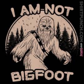 I am not bigfoot