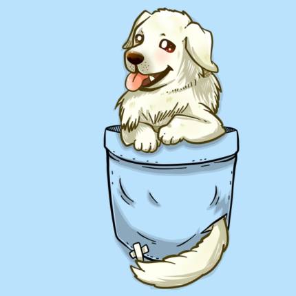 Pocket Great Pyrenees Dog