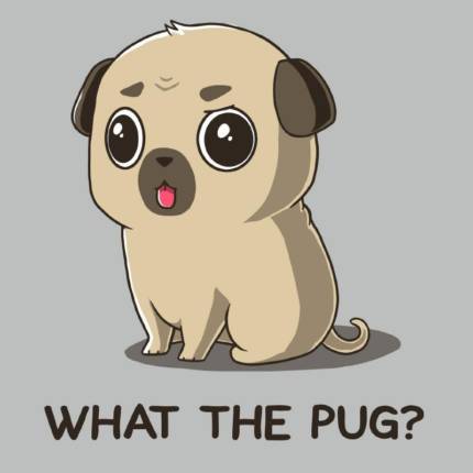 What The Pug?