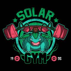 Solar Gym