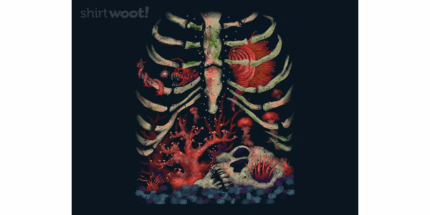 Aquarium Inside