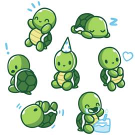 Limited Edition 2019 TeeTurtle Birthday Shirt