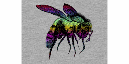 Color Bee