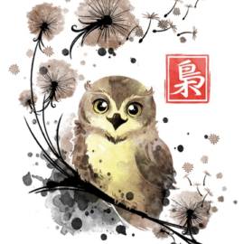 Dandelion owl