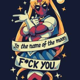 Warrior of Love