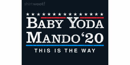 This is the Vote