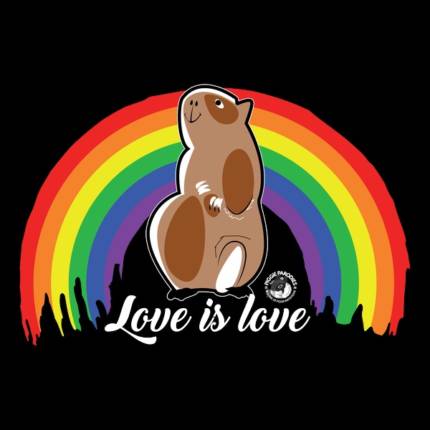 Love is Love