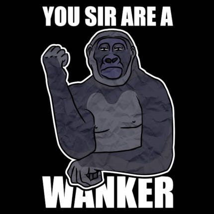 You Sir Are Wanker Smug Gorilla Animal Curses Meme