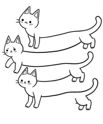 Illusion of Cats