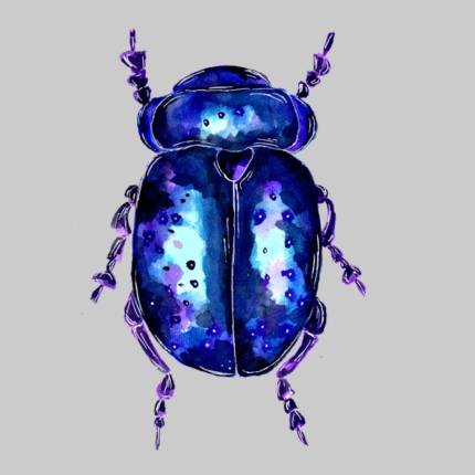 Purple Beetle