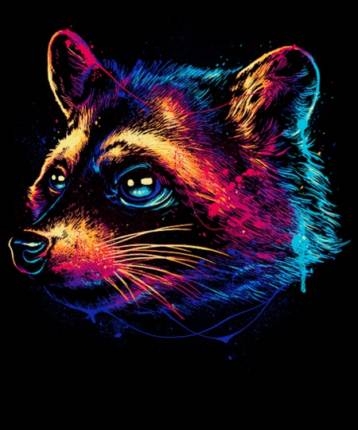 Colourful Raccoon