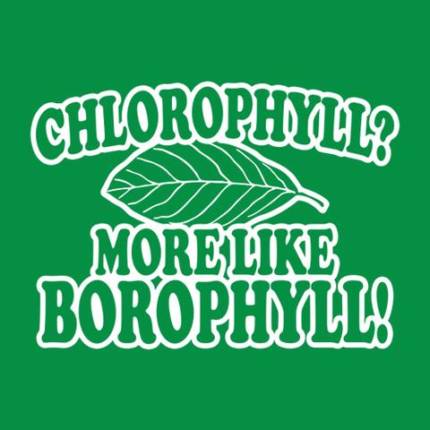 Chlorophyll? More Like Borophyll