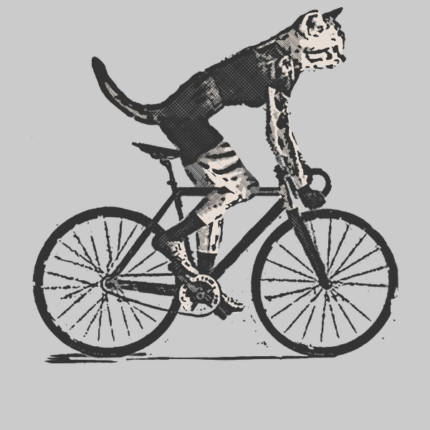 Cat Punk Bike