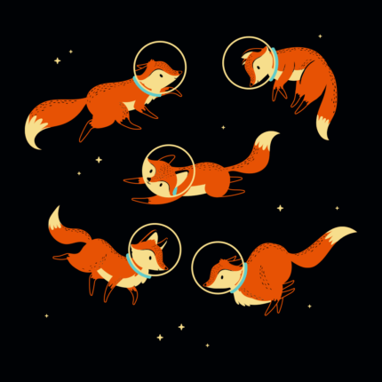 Foxes In Space