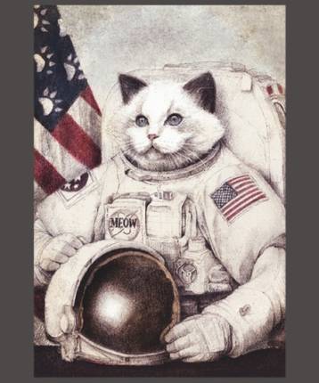 Meow out in Space