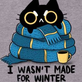 I wasn't made for WINTER