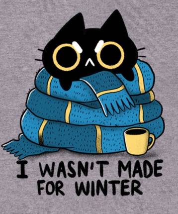 I wasn't made for WINTER