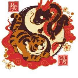 yin and yang tiger dragon