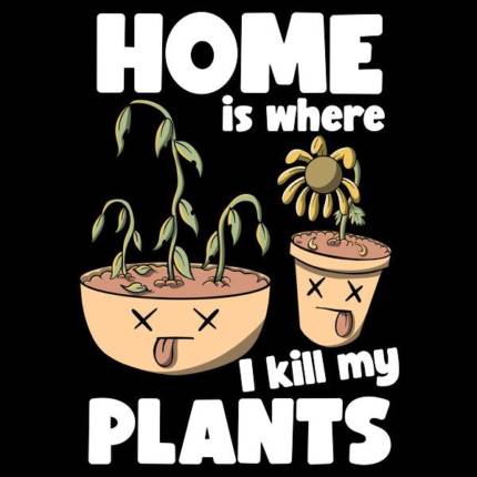Home is where I kill plants