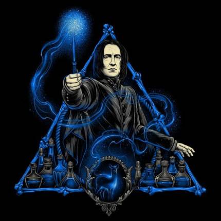 The Potions Master