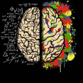 The brain