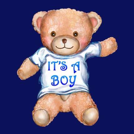 It’s A Boy Teddy Bear Toy