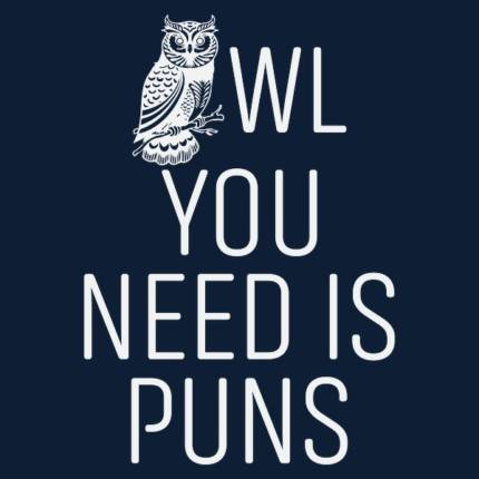Owl You Need Is Puns – Funny Pun