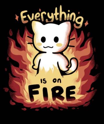 Everything is on Fire