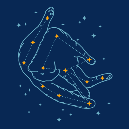Catstellation