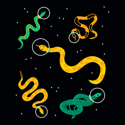 Snakes In Space