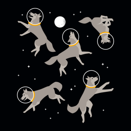 Wolves In Space