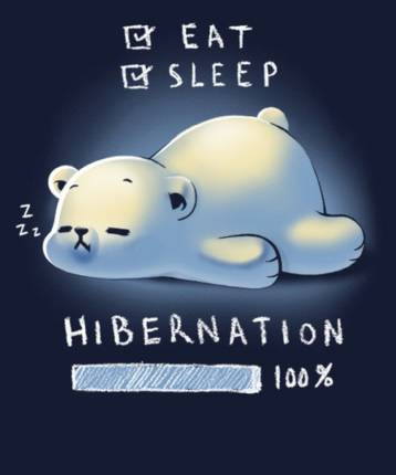 Hibernation mood