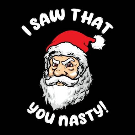 I Saw That You Nasty Funny Santa Claus