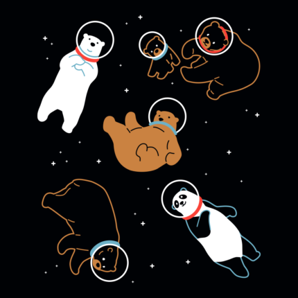 Bears In Space