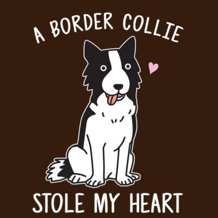 A Border Collie Stole My Heart – Dog Lover