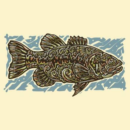 Bass Fish Cartoon Doodle