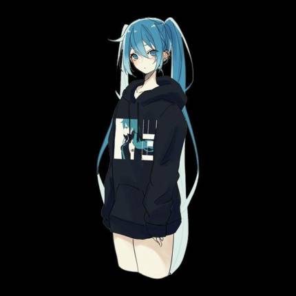 Miku Hoodie