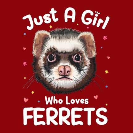 Just A Girl Who Loves Ferrets