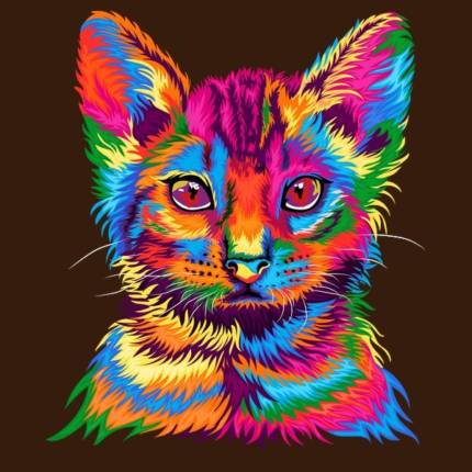 Wonder Cat