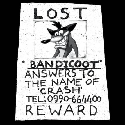 Lost Bandicoot